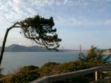 GoldenGate12.JPG