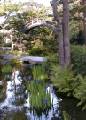 JpnGarden04.JPG