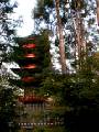 JpnGarden06.JPG