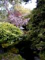 JpnGarden07.JPG