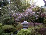 JpnGarden11.JPG