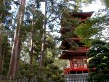 JpnGarden13.JPG